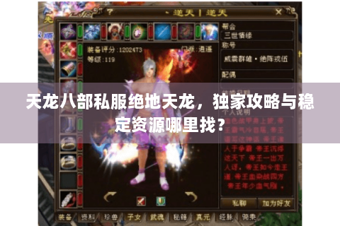 天龙八部私服绝地天龙，独家攻略与稳定资源哪里找？