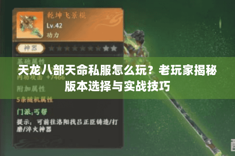天龙八部天命私服怎么玩？老玩家揭秘版本选择与实战技巧