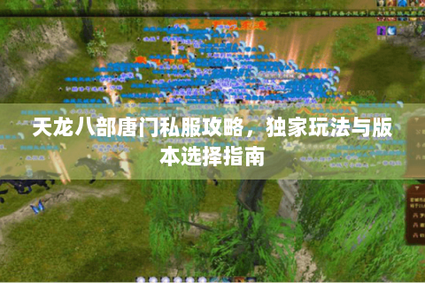 天龙八部唐门私服攻略，独家玩法与版本选择指南