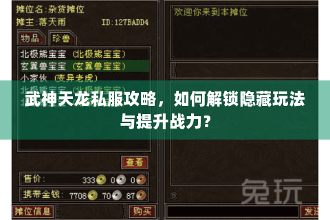 武神天龙私服攻略，如何解锁隐藏玩法与提升战力？