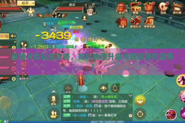 皇族天龙私服攻略，如何快速升级与获取稀有装备？