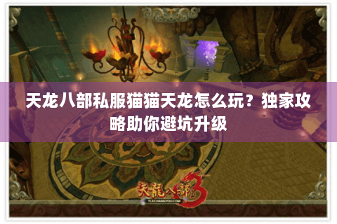 天龙八部私服猫猫天龙怎么玩?独家攻略助你避坑升级 天龙八部私服猫猫天龙怎么玩?独家攻略助你避坑升级