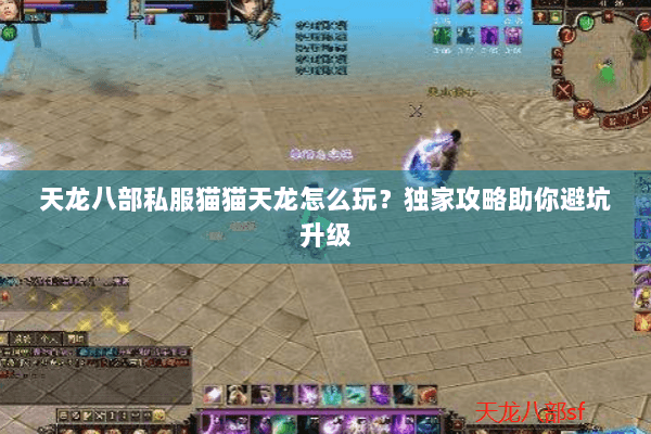 天龙八部私服猫猫天龙怎么玩?独家攻略助你避坑升级 天龙八部私服猫猫天龙怎么玩?独家攻略助你避坑升级