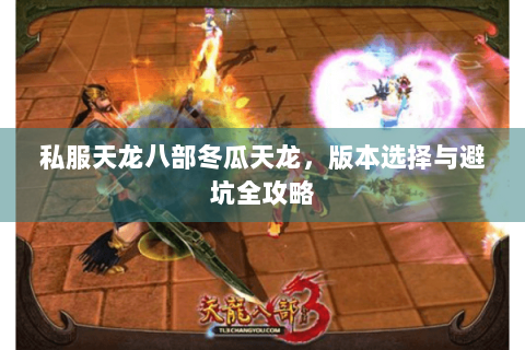 私服天龙八部冬瓜天龙，版本选择与避坑全攻略