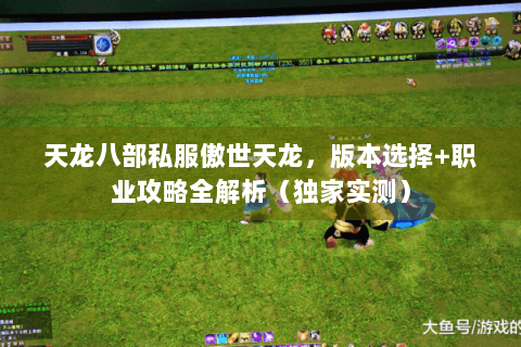 天龙八部私服傲世天龙，版本选择+职业攻略全解析（独家实测）