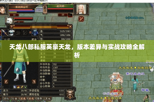 天龙八部私服英豪天龙,版本差异与实战攻略全解析 天龙八部私服英豪天龙,版本差异与实战攻略全解析