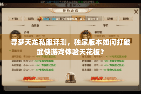 寻梦天龙私服评测，独家版本如何打破武侠游戏体验天花板？