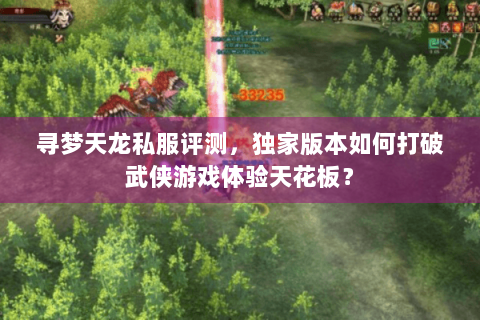 寻梦天龙私服评测，独家版本如何打破武侠游戏体验天花板？