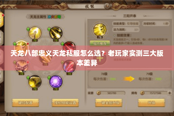 天龙八部忠义天龙私服怎么选？老玩家实测三大版本差异
