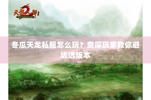 冬瓜天龙私服怎么玩？资深玩家教你避坑选版本