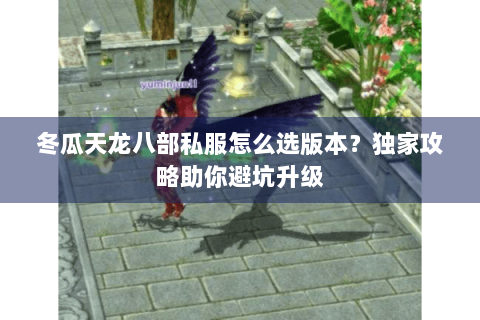冬瓜天龙八部私服怎么选版本?独家攻略助你避坑升级 冬瓜天龙八部私服怎么选版本?独家攻略助你避坑升级