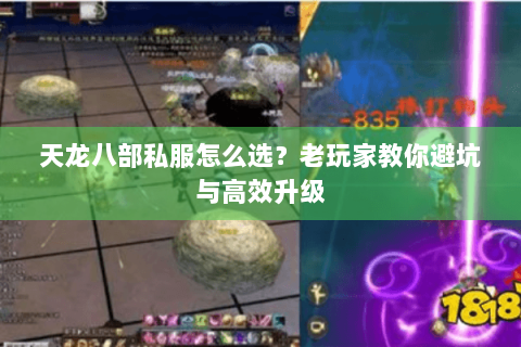天龙八部私服怎么选?老玩家教你避坑与高效升级 天龙八部私服怎么选?老玩家教你避坑与高效升级