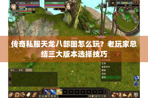 传奇私服天龙八部图怎么玩？老玩家总结三大版本选择技巧