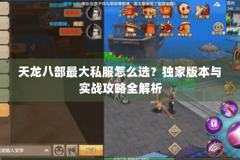 天龙八部最大私服怎么选？独家版本与实战攻略全解析
