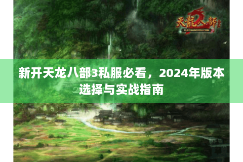 新开天龙八部3私服必看，2024年版本选择与实战指南