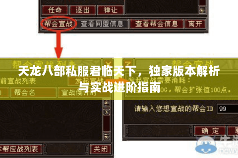 天龙八部私服君临天下，独家版本解析与实战进阶指南