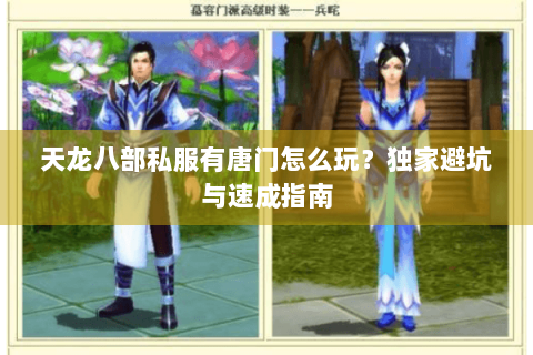 天龙八部私服有唐门怎么玩?独家避坑与速成指南 天龙八部私服有唐门怎么玩?独家避坑与速成指南