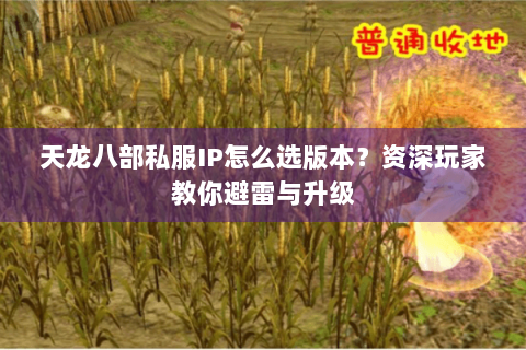 天龙八部私服IP怎么选版本?资深玩家教你避雷与升级 天龙八部私服IP怎么选版本?资深玩家教你避雷与升级
