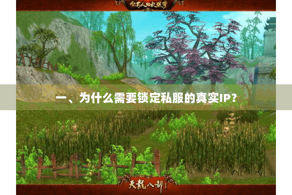 一、为什么需要锁定私服的真实IP? 一、为什么需要锁定私服的真实IP?