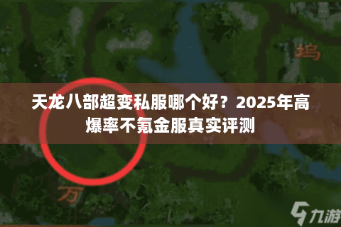 天龙八部超变私服哪个好？2025年高爆率不氪金服真实评测