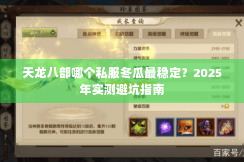 天龙八部哪个私服冬瓜最稳定？2025年实测避坑指南