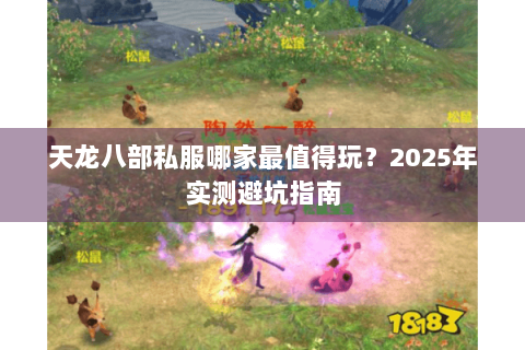 天龙八部私服哪家最值得玩？2025年实测避坑指南
