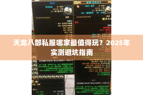 天龙八部私服哪家最值得玩？2025年实测避坑指南