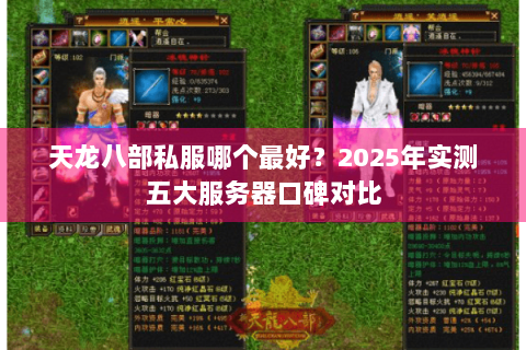 天龙八部私服哪个最好?2025年实测五大服务器口碑对比 天龙八部私服哪个最好?2025年实测五大服务器口碑对比
