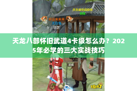 天龙八部怀旧武道4卡级怎么办？2025年必学的三大实战技巧