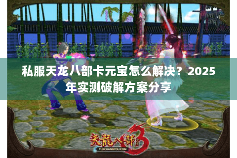 私服天龙八部卡元宝怎么解决？2025年实测破解方案分享