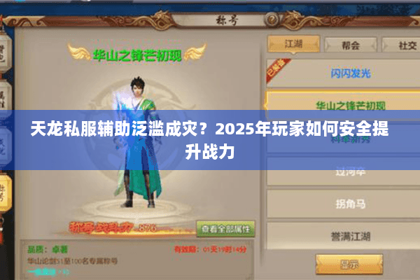 天龙私服辅助泛滥成灾？2025年玩家如何安全提升战力
