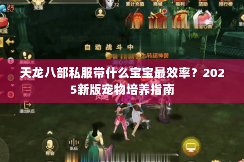 天龙八部私服带什么宝宝最效率？2025新版宠物培养指南