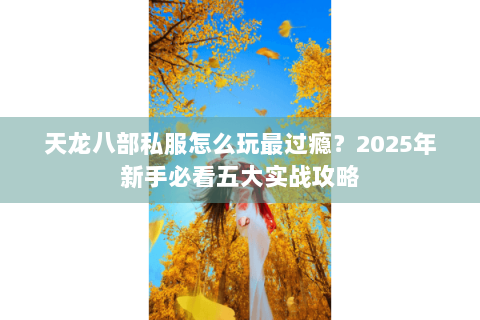 天龙八部私服怎么玩最过瘾？2025年新手必看五大实战攻略