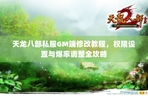 天龙八部私服GM端修改教程,权限设置与爆率调整全攻略 天龙八部私服GM端修改教程,权限设置与爆率调整全攻略