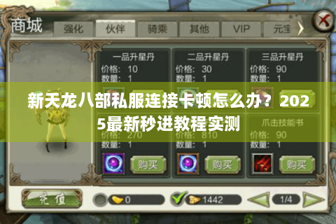 新天龙八部私服连接卡顿怎么办?2025最新秒进教程实测 新天龙八部私服连接卡顿怎么办?2025最新秒进教程实测