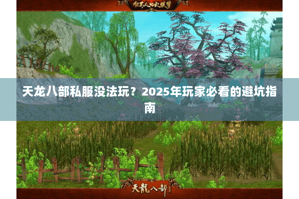 天龙八部私服没法玩？2025年玩家必看的避坑指南