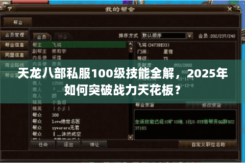 天龙八部私服100级技能全解,2025年如何突破战力天花板? 天龙八部私服100级技能全解,2025年如何突破战力天花板?