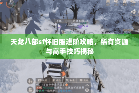 天龙八部sf怀旧服进阶攻略，稀有资源与高手技巧揭秘