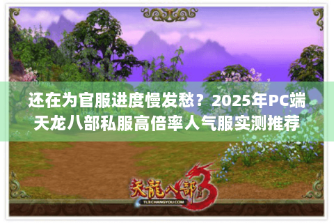 还在为官服进度慢发愁？2025年PC端天龙八部私服高倍率人气服实测推荐