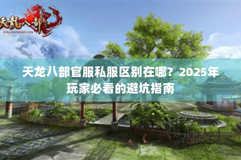 天龙八部官服私服区别在哪？2025年玩家必看的避坑指南