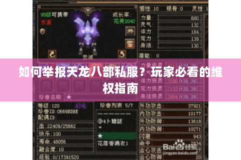 如何举报天龙八部私服？玩家必看的维权指南
