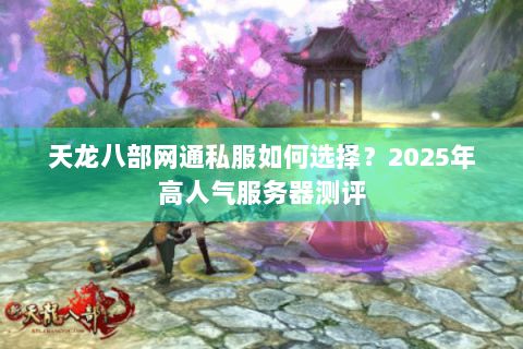 天龙八部网通私服如何选择?2025年高人气服务器测评 天龙八部网通私服如何选择?2025年高人气服务器测评