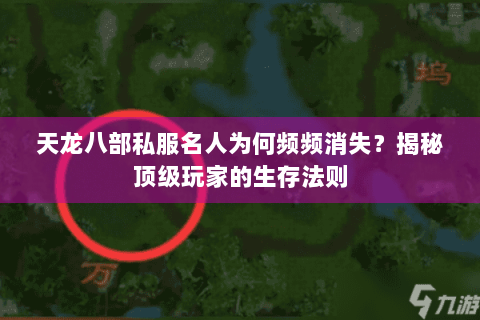 天龙八部私服名人为何频频消失？揭秘顶级玩家的生存法则
