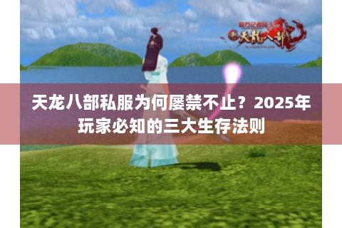 天龙八部私服为何屡禁不止？2025年玩家必知的三大生存法则