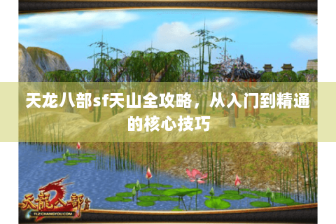 天龙八部sf天山全攻略,从入门到精通的核心技巧 天龙八部sf天山全攻略,从入门到精通的核心技巧