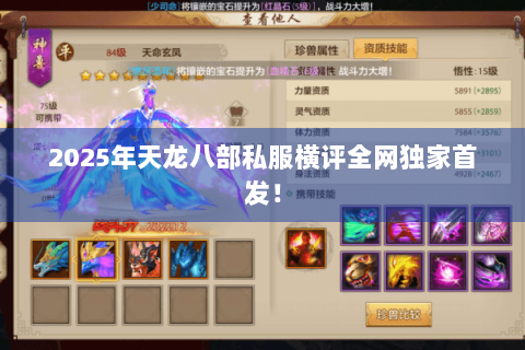 2025年天龙八部私服横评全网独家首发！