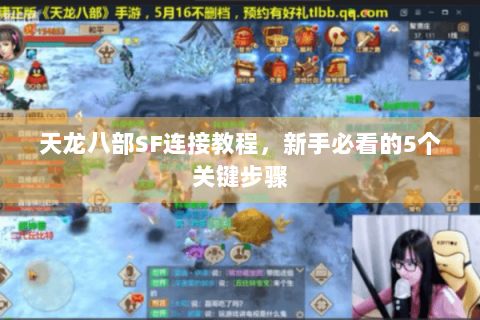 天龙八部SF连接教程,新手必看的5个关键步骤 天龙八部SF连接教程,新手必看的5个关键步骤