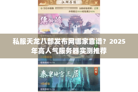 私服天龙八部发布网哪家靠谱？2025年高人气服务器实测推荐