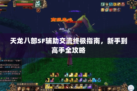 天龙八部SF辅助交流终极指南，新手到高手全攻略