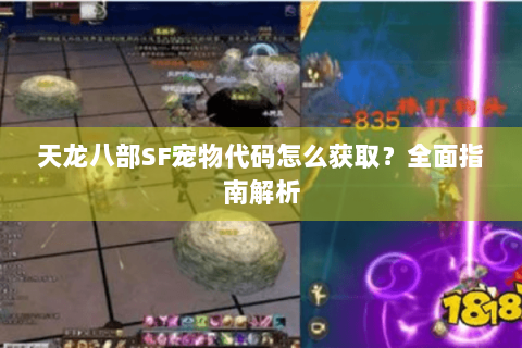 天龙八部SF宠物代码怎么获取？全面指南解析
